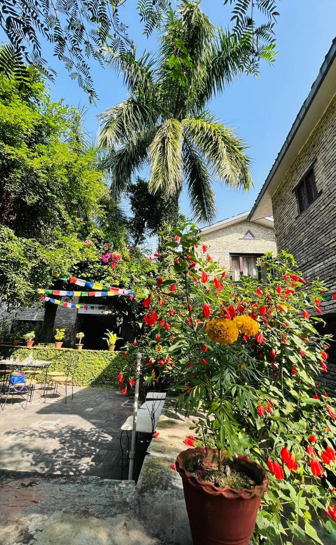 Mum'S Garden Resort Похара Екстериор снимка